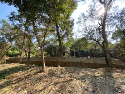 擋土柵護坡利用木材結構達到混凝土減量並以柳杉木飾片，讓構造物自然融入當地環境，兼具安全和環境景觀。