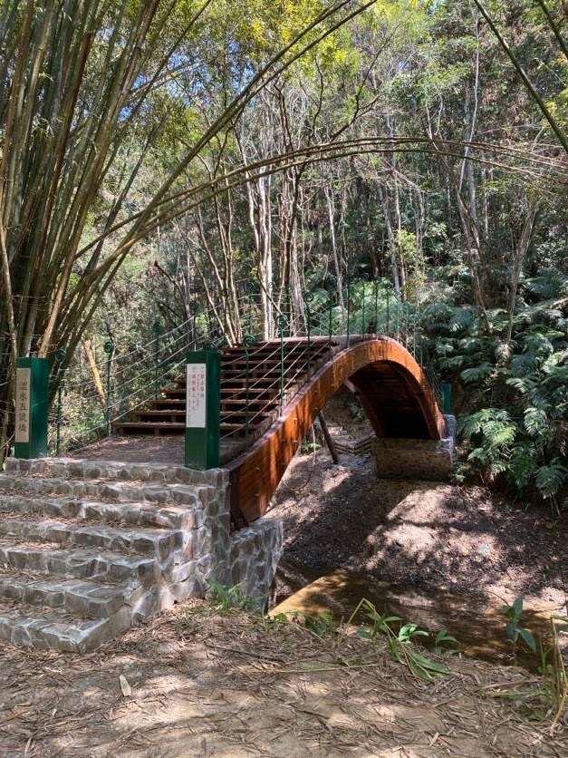 澀水森林步道5號橋