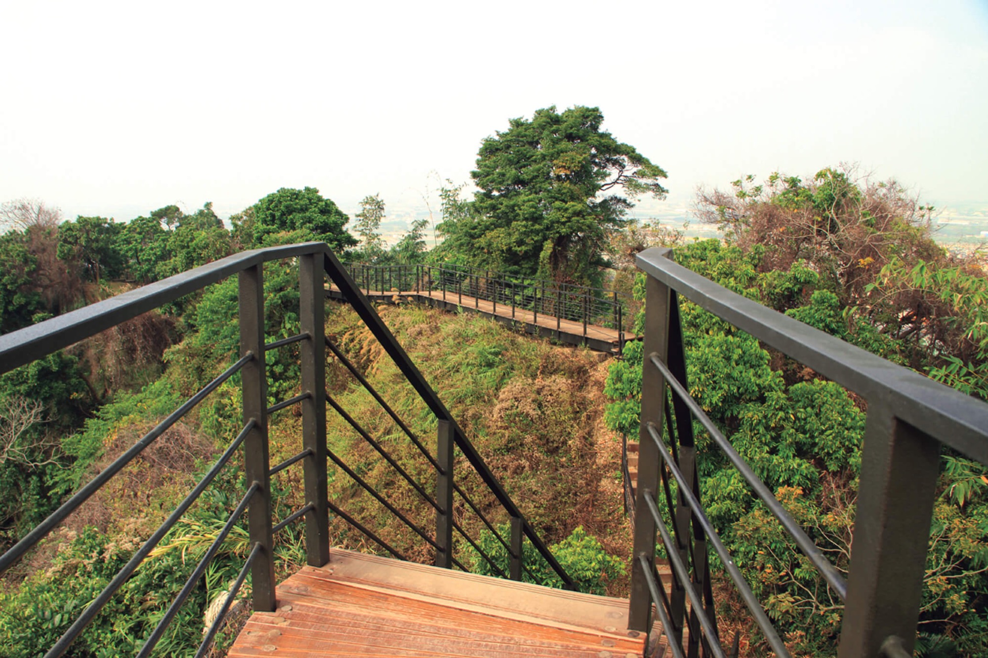 龍過脈森林步道棧道