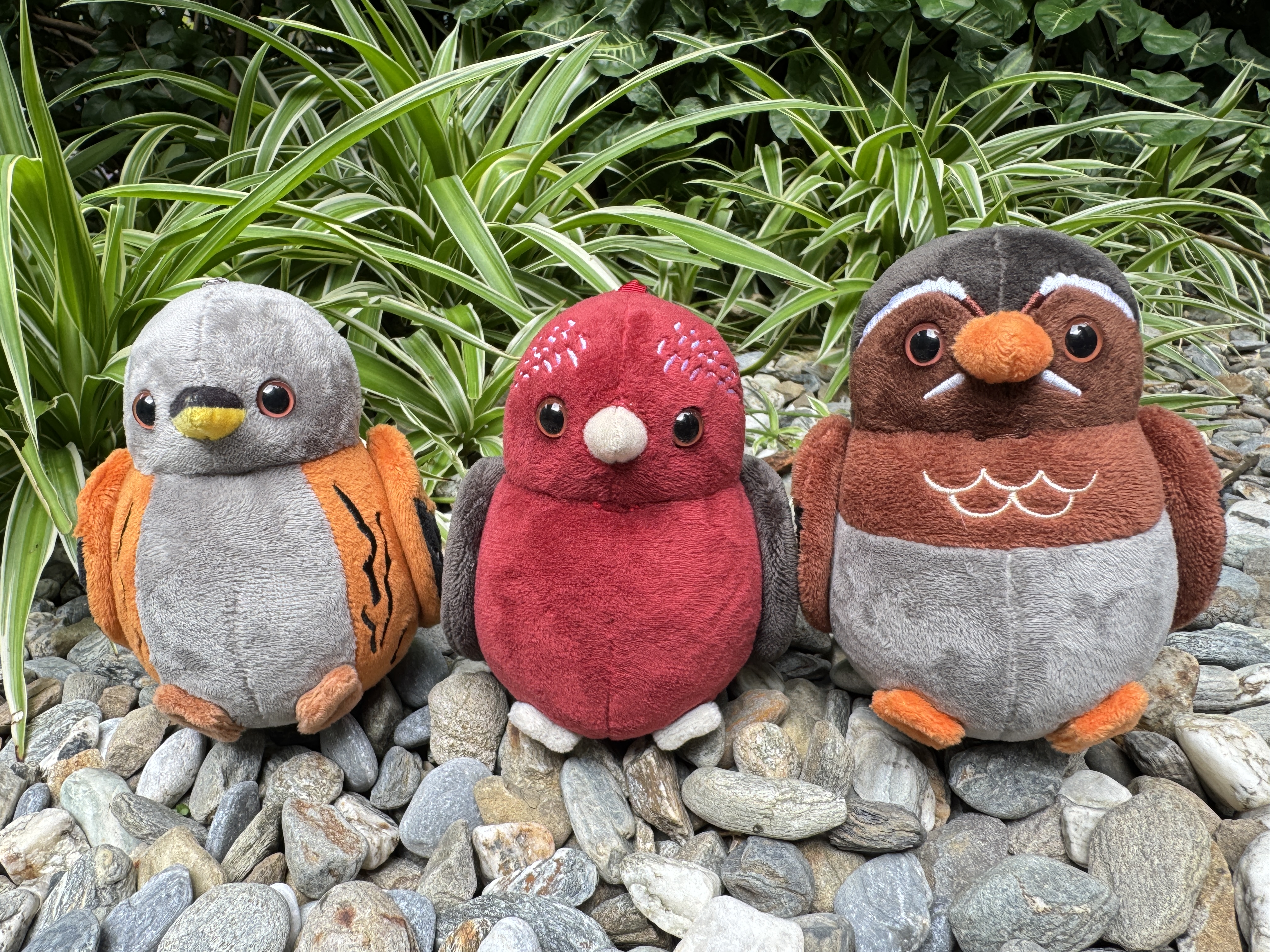 合歡山寶鳥布偶