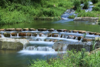 低水流路營造，調控流心、加速濱溪植物帶復育