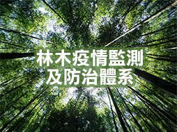 林務疫情監測及防治體系