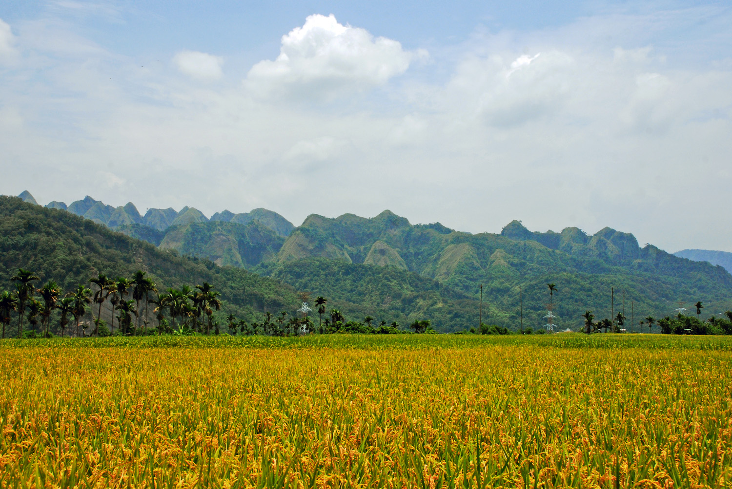九九峰群山-遠景