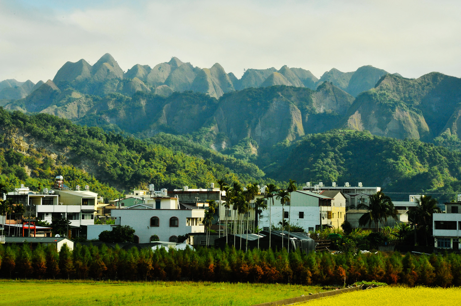 九九峰群山-遠拍