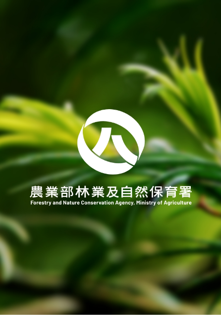 竹山工作站